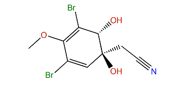 2-((1S,6R)-3,5-Dibromo-1,6-dihydroxy-4-methoxycyclohexa-2,4-dienyl)-acetonitrile